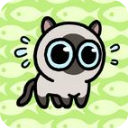 冒险猫正版v1