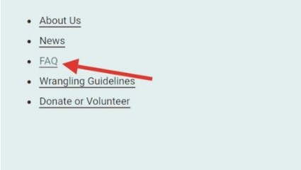 ao3设置中文教程