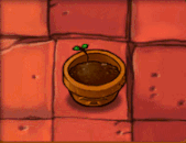 植物强度排名20