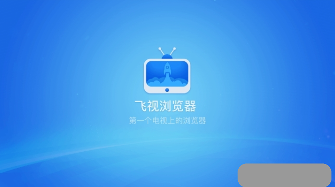 飞视浏览器