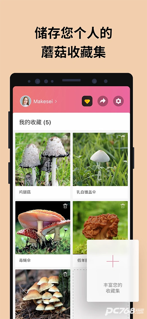 蘑菇识别扫一扫