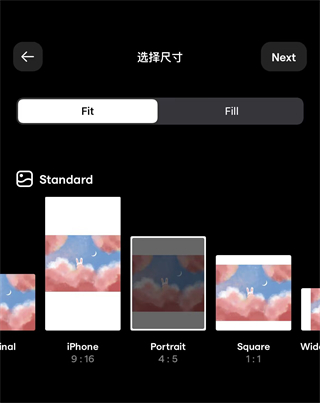 instasize使用教程