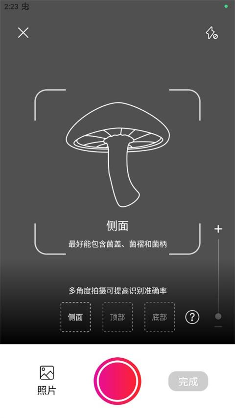 蘑菇识别扫一扫