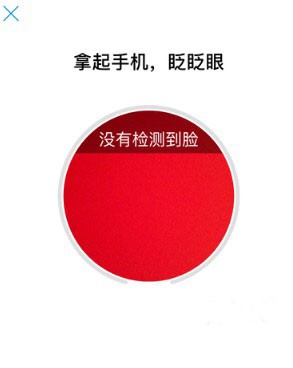 广东税务app13