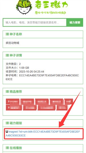 老王磁力使用教程-4