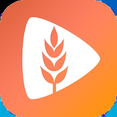 麦芽短剧2024最新免费安装v2.10.20
