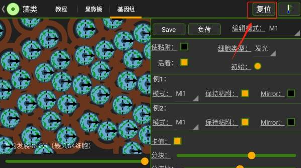 细胞实验室