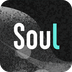Soul32位最新版v5.52.1