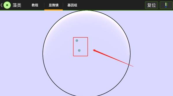 细胞实验室