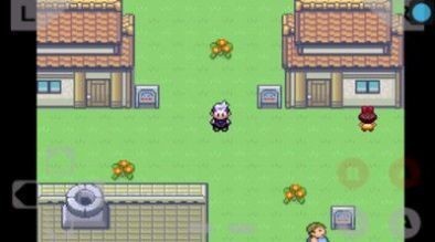 宠物小精灵绿宝石随机版