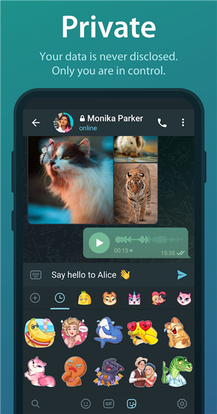 纸飞机app安卓版下载