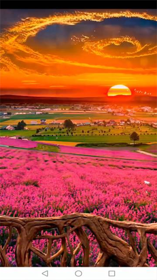 md豆传媒app入口免费