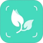 智能拍照识物(多功能识别工具)软件v1.3.3