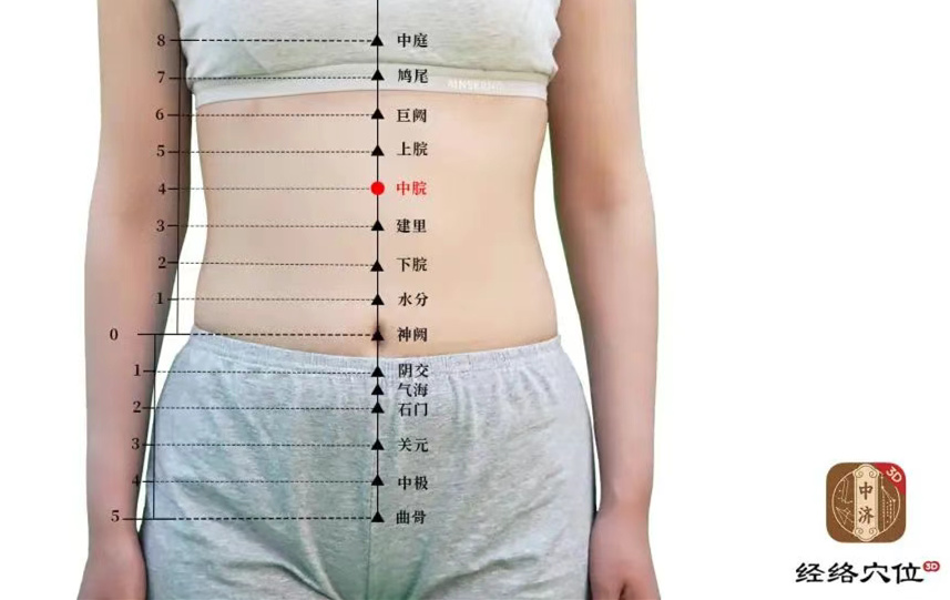 知源经络穴位