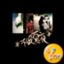 YOO主题-不眠夏夜