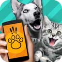 动物翻译器免费使用安装v1.1