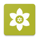 安装狮InstallLion官方免费v3.7.5