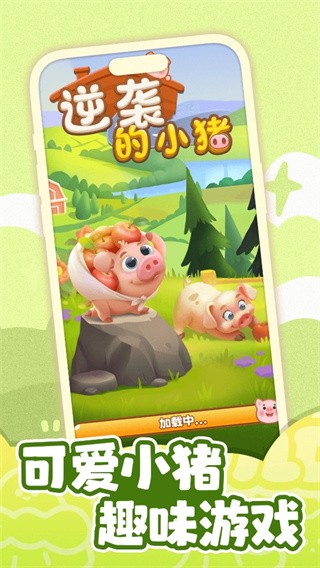 逆袭的小猪