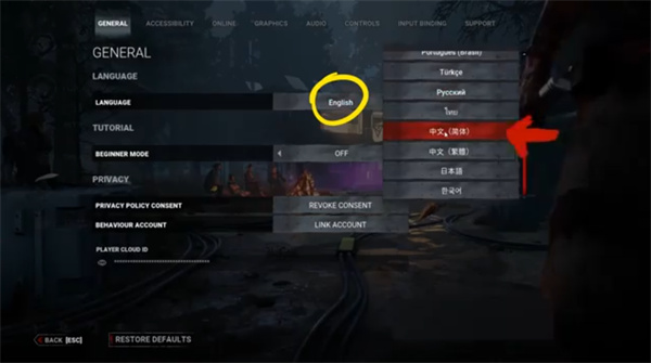 黎明施法者汉化版