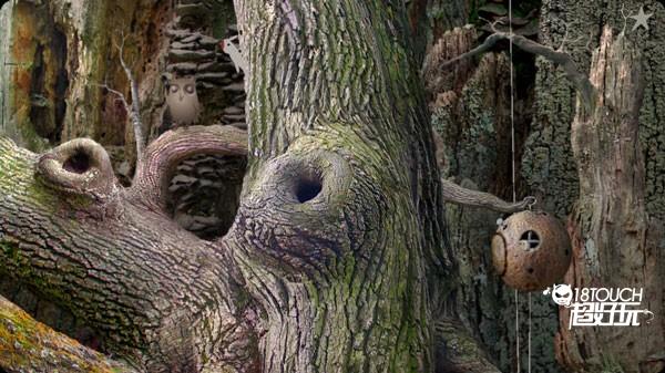 第一个星球攻略