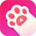 喵趣直播app