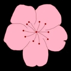 桃花视频免费入口在线播放