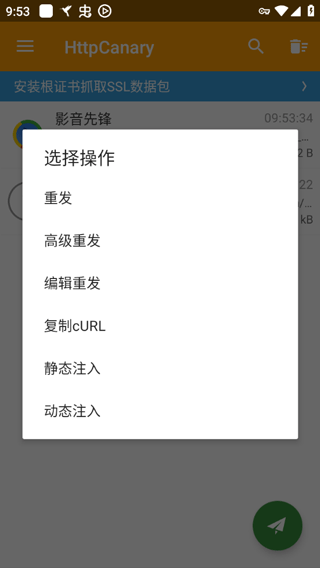 小黄鸟抓包软件