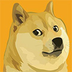 狗狗币钱包dogecoin官方版安卓版v6.145.0