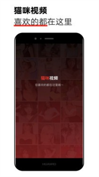 猫咪视频官网
