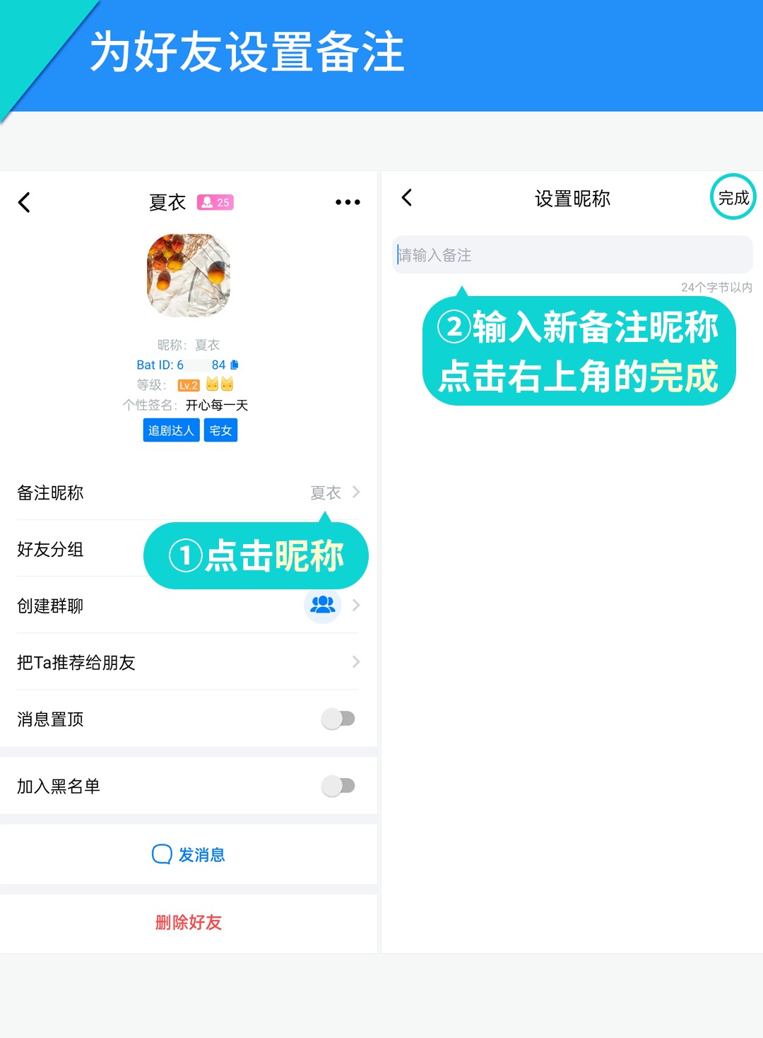蝙蝠