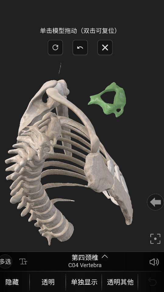 3dbody解剖