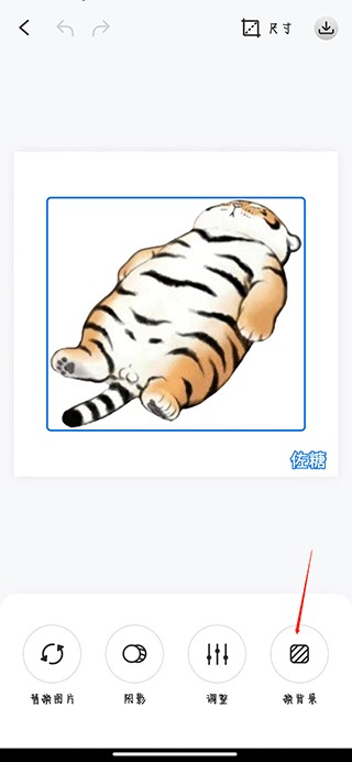佐糖