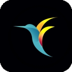 bebird智能可视蜂鸟采耳app官方下载 v6.2.50