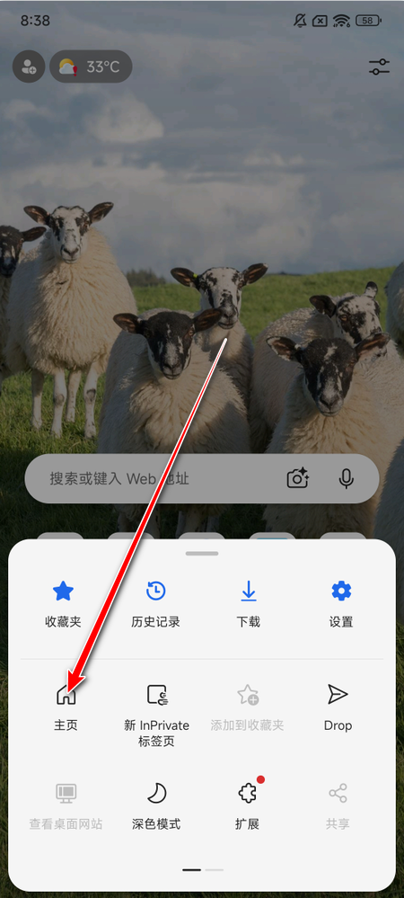 edge浏览器安卓版2024 edge浏览器安卓版2024