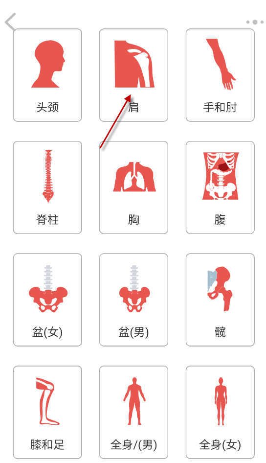 3dbody解剖
