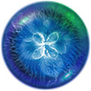 OSMOS官方版安卓版下载v2.6.6