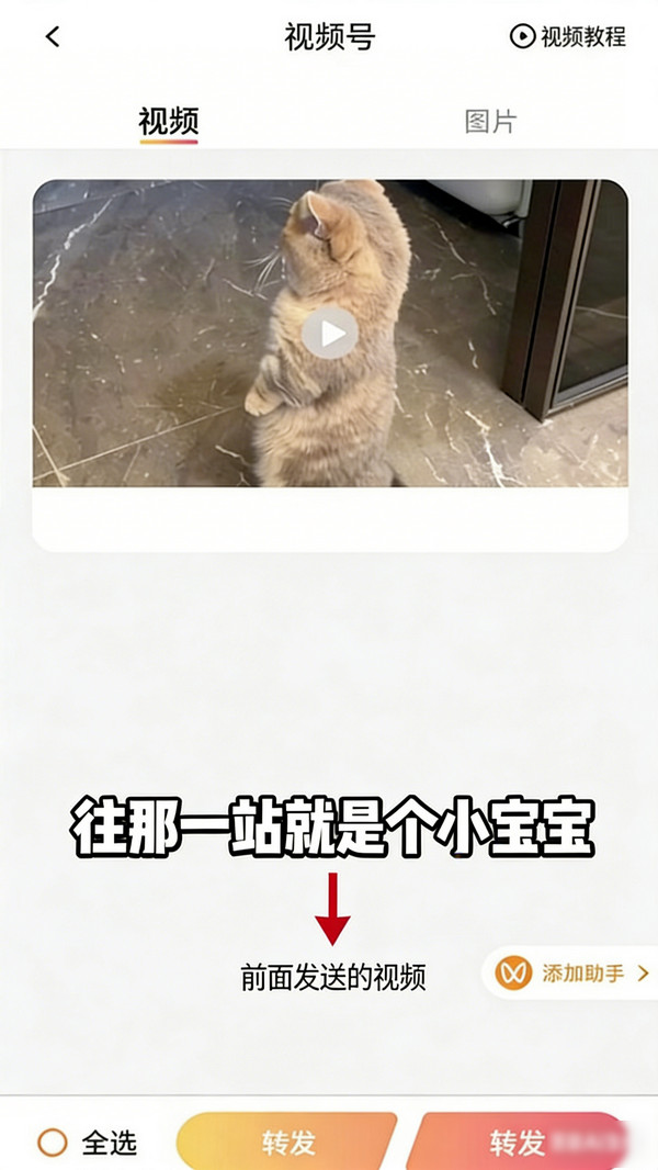 快存图最新版