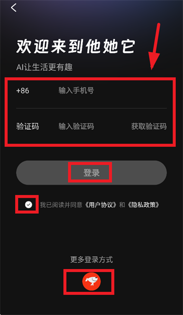 他她它AI