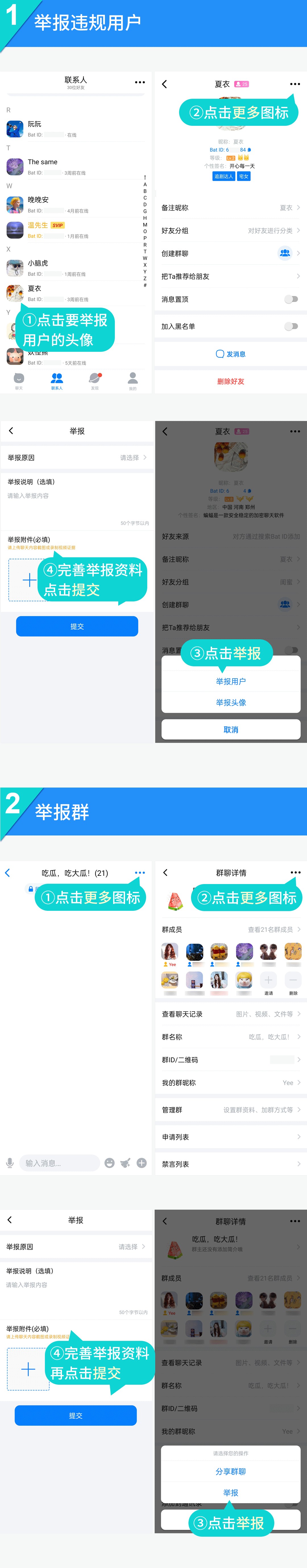 蝙蝠