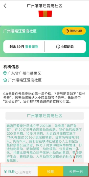 握爪