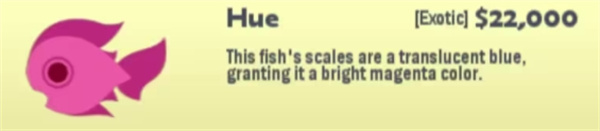 小猫钓鱼有船版本