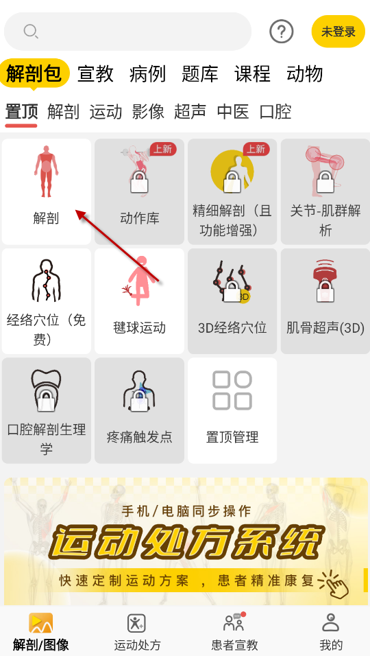 3dbody解剖