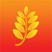 金麦直播最新版6.1.4