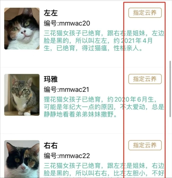 握爪