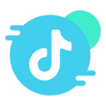 抖取(抖音视频提取工具)软件v1.0