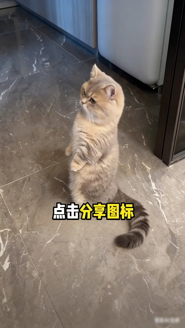 快存图最新版