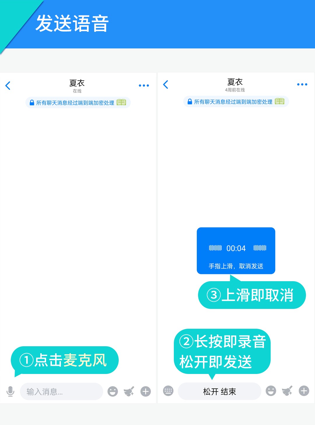 蝙蝠
