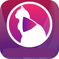 小猫直播官方版 v1.1.90