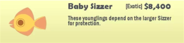 小猫钓鱼有船版本