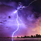 非自然灾害手游下载直装